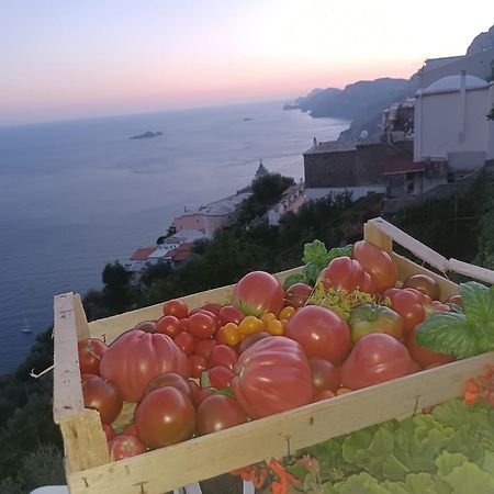 Villa Antica Macina Positano Dış mekan fotoğraf