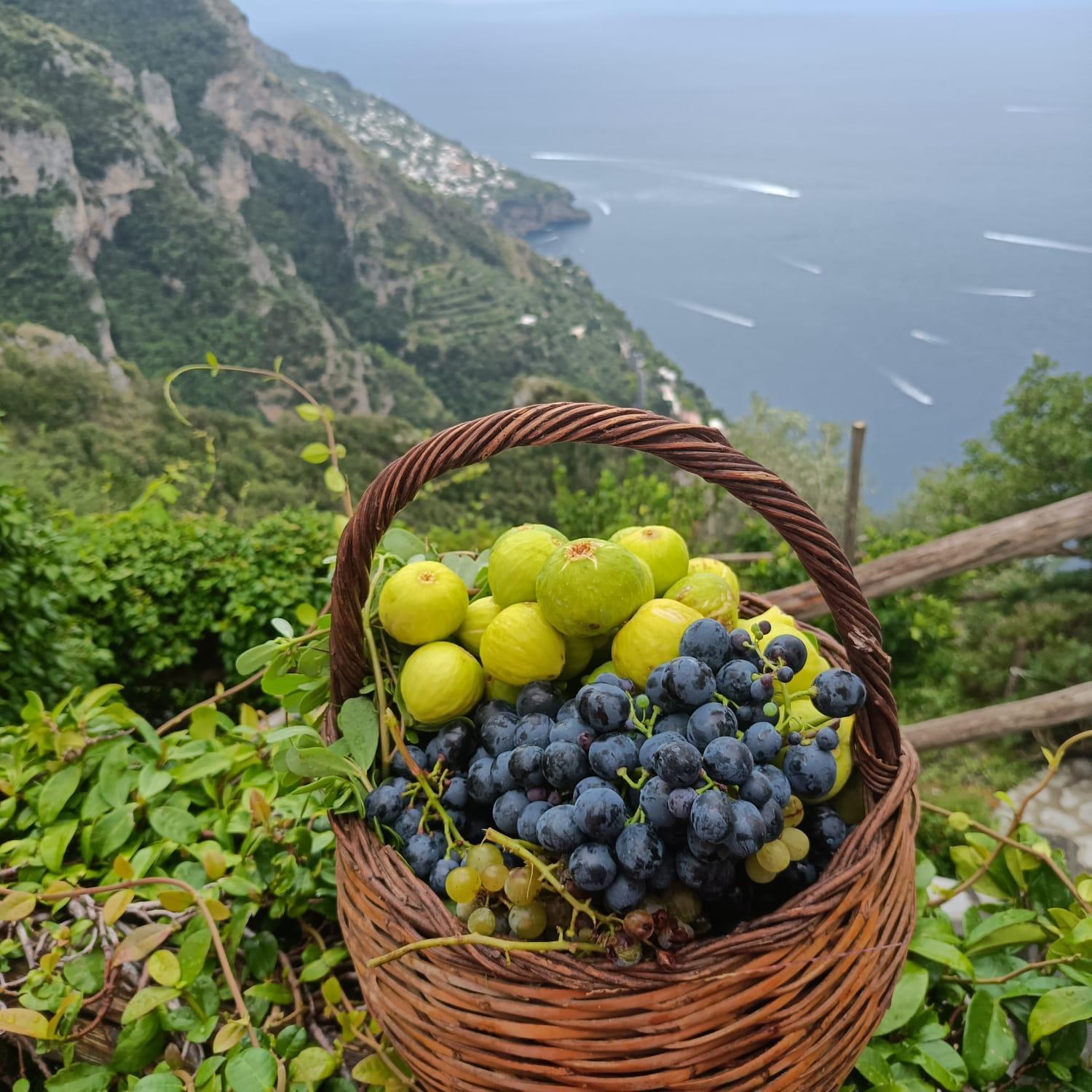 Villa Antica Macina Positano Dış mekan fotoğraf