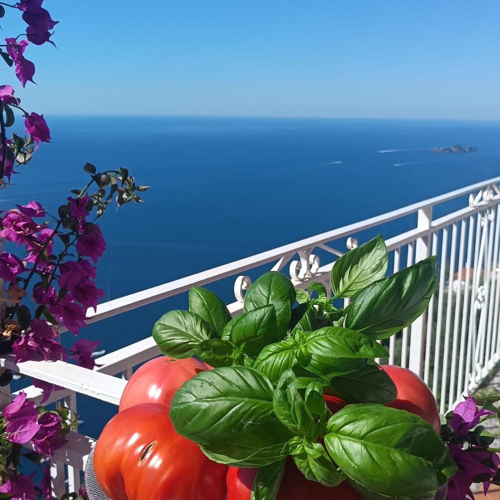 Villa Antica Macina Positano Dış mekan fotoğraf