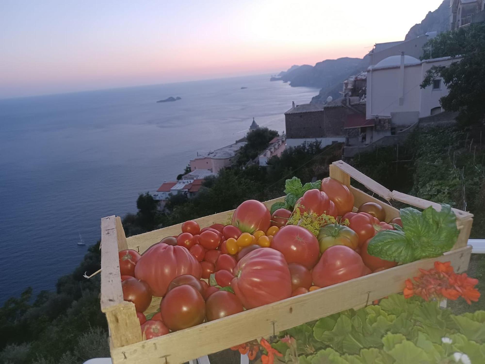 Villa Antica Macina Positano Dış mekan fotoğraf