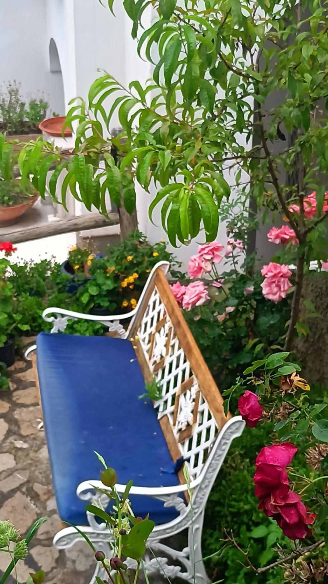 Villa Antica Macina Positano Dış mekan fotoğraf
