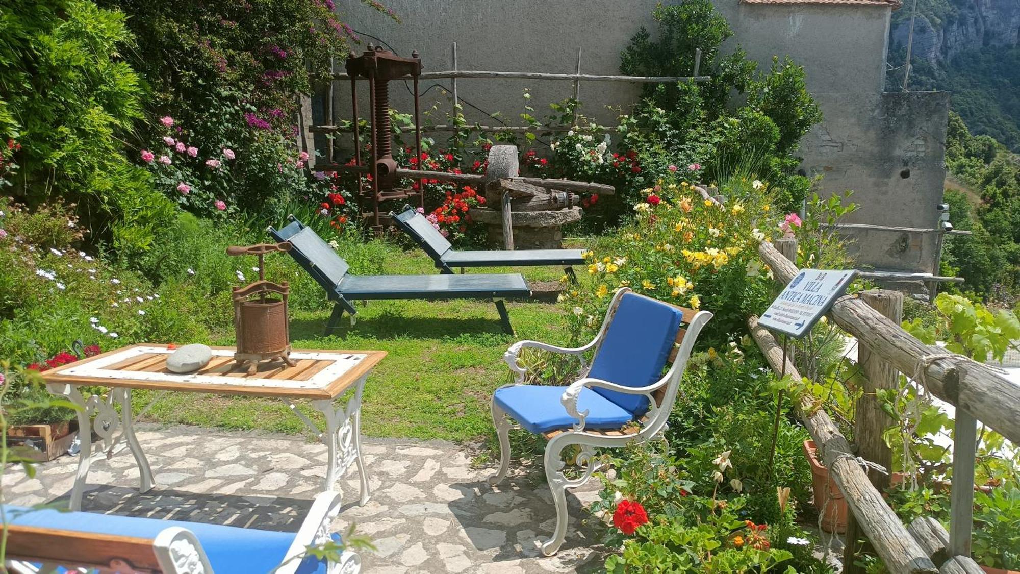 Villa Antica Macina Positano Dış mekan fotoğraf
