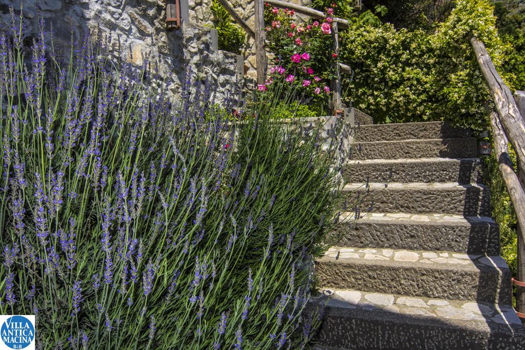 Villa Antica Macina Positano Dış mekan fotoğraf