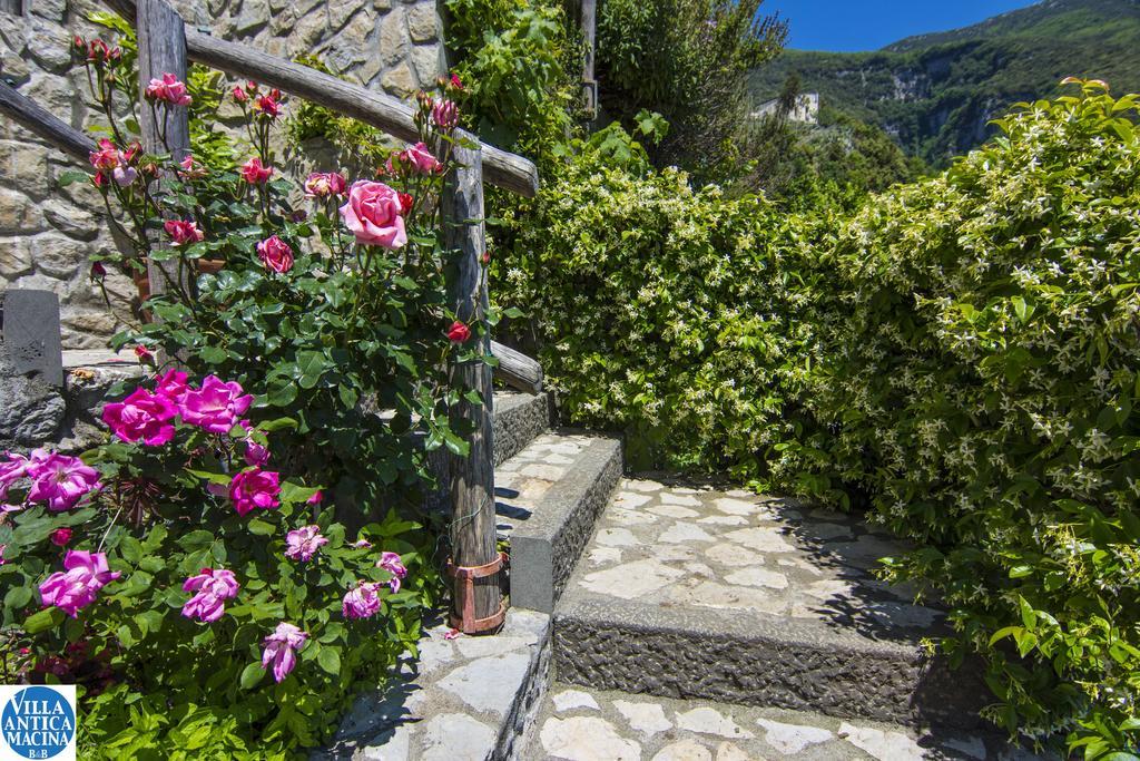 Villa Antica Macina Positano Dış mekan fotoğraf