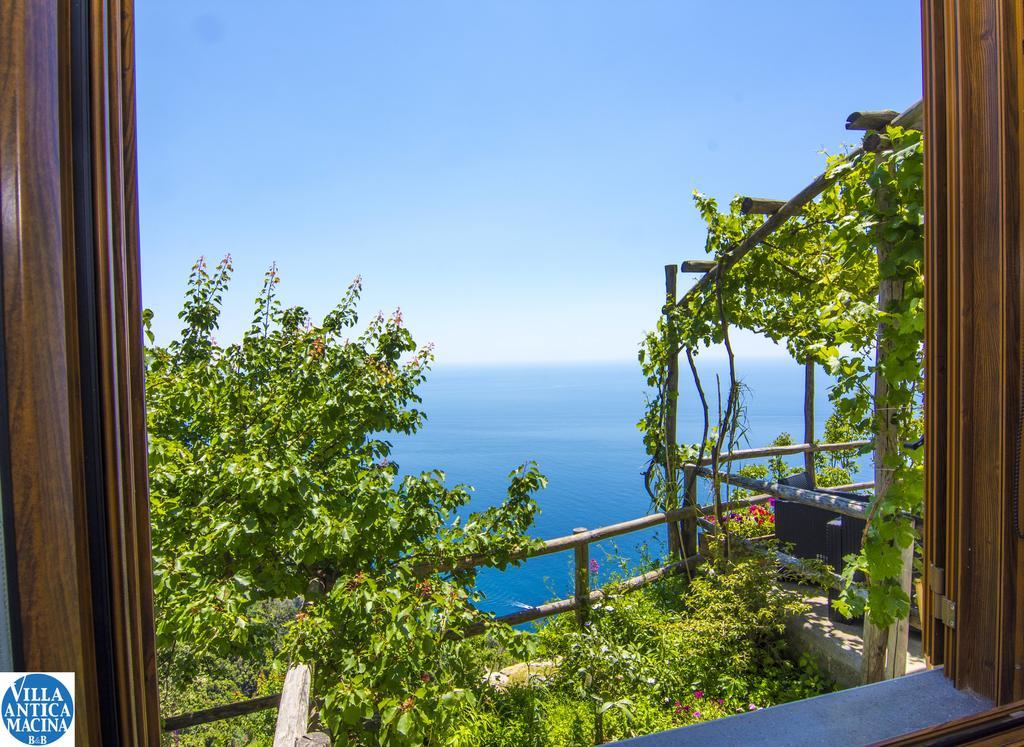 Villa Antica Macina Positano Dış mekan fotoğraf